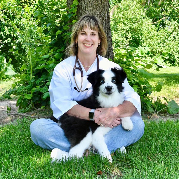 Dr. Wendy Johnson