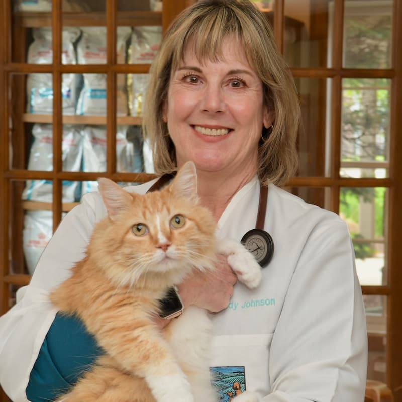 Dr. Wendy Johnson
